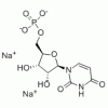 5'-尿苷酸二鈉CAS3387-36-8