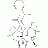 10-脫乙?；涂ǘ?III CAS 32981-86-5